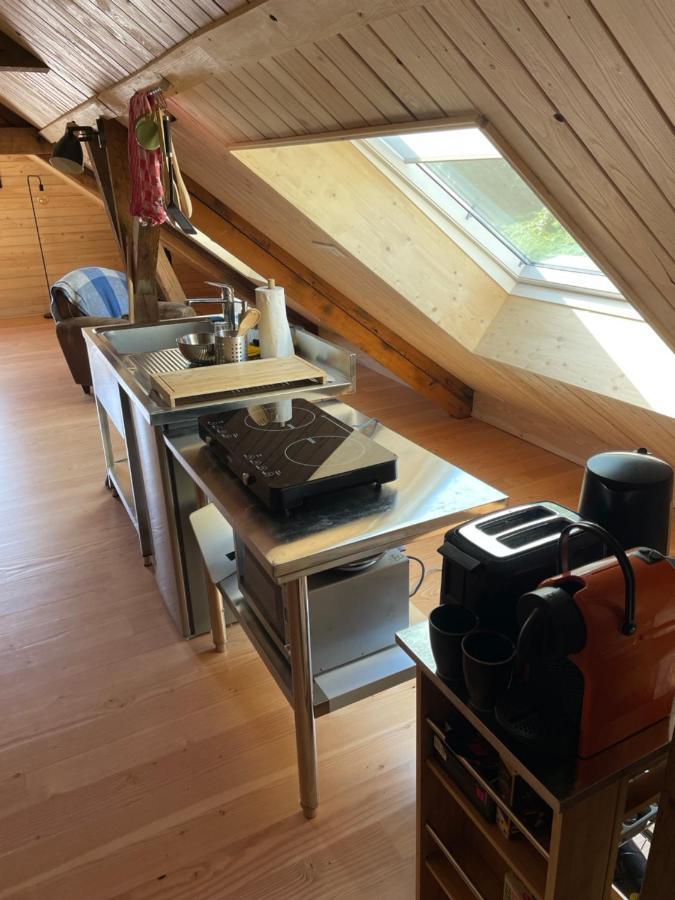 Mon Refuge En Vasgovie Apartment